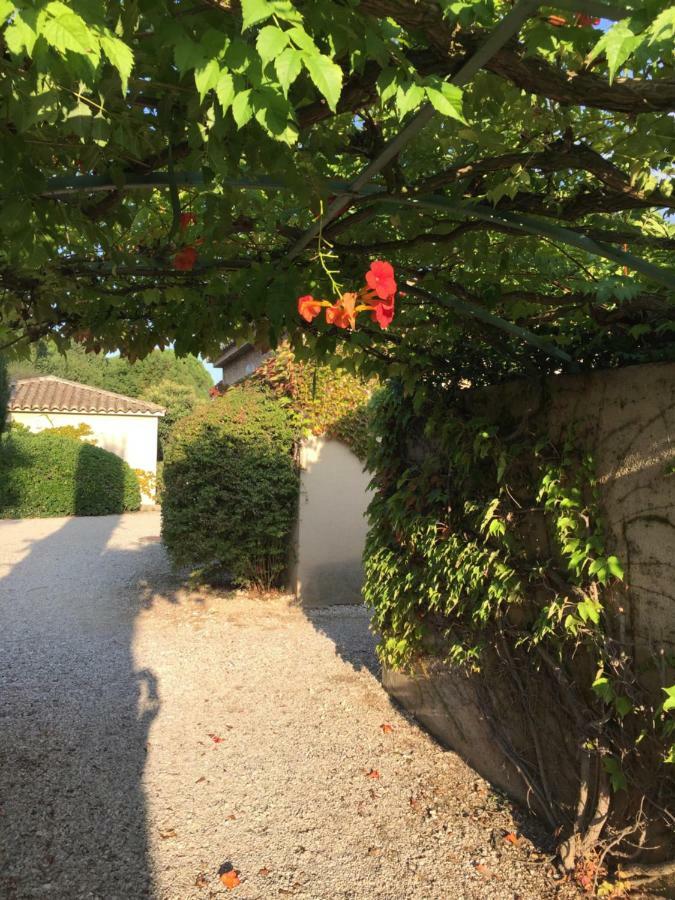 הוילה Saint-Rémy-de-Provence Le Mazet De Lola מראה חיצוני תמונה